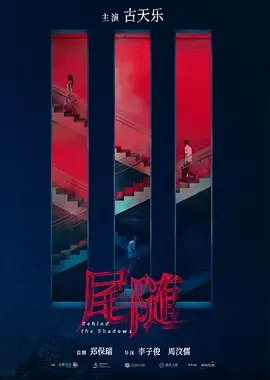 尾随(2024)