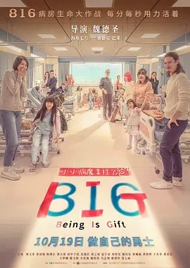 816 BIG (2023)