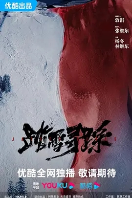 踏雪寻踪 (2025)