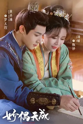 妙偶天成 (2027)