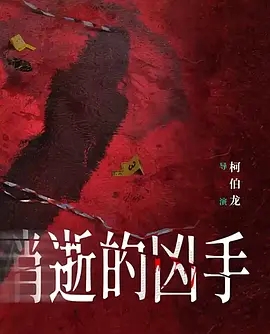 消逝的凶手 (2025)